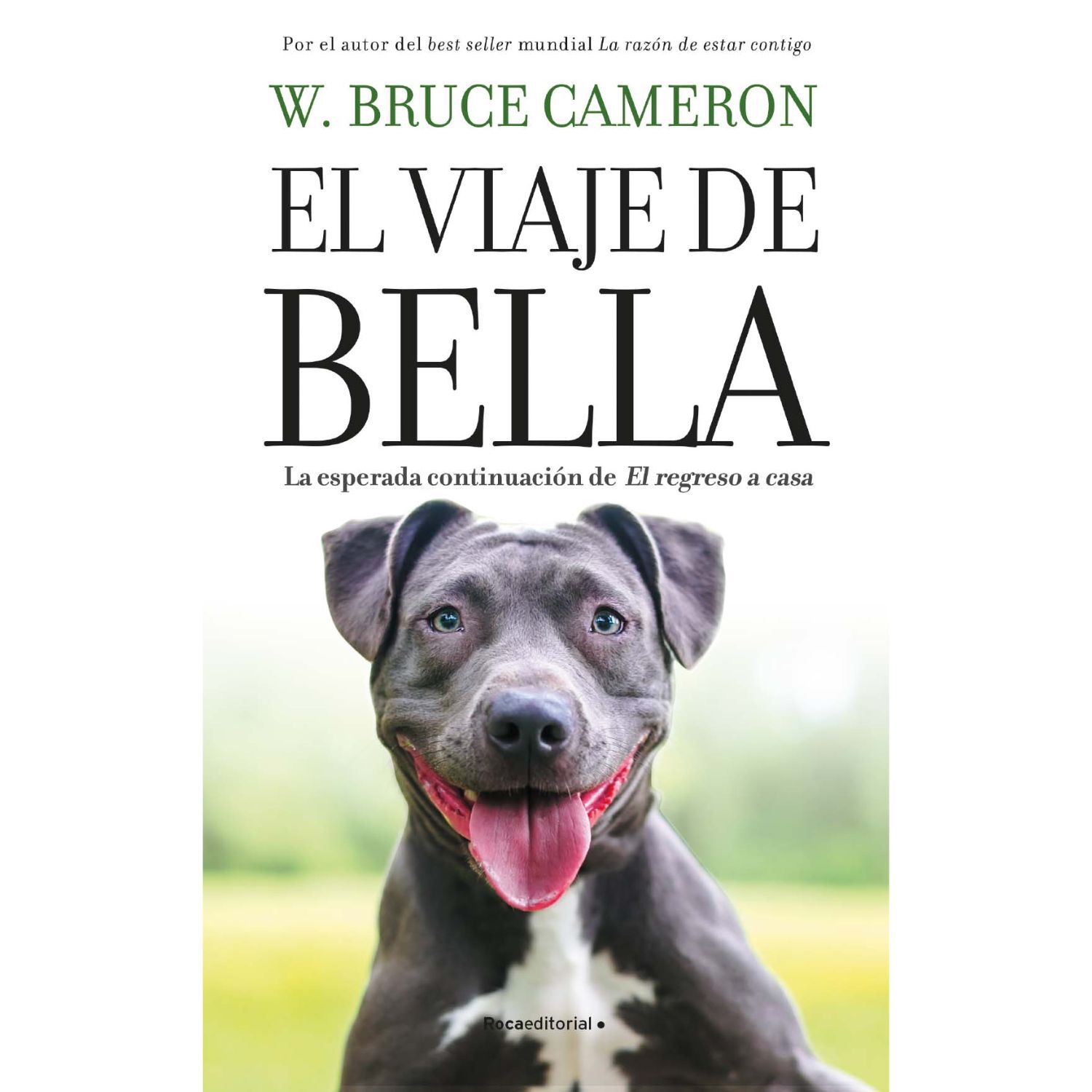 El Viaje De Bella image number 0.0