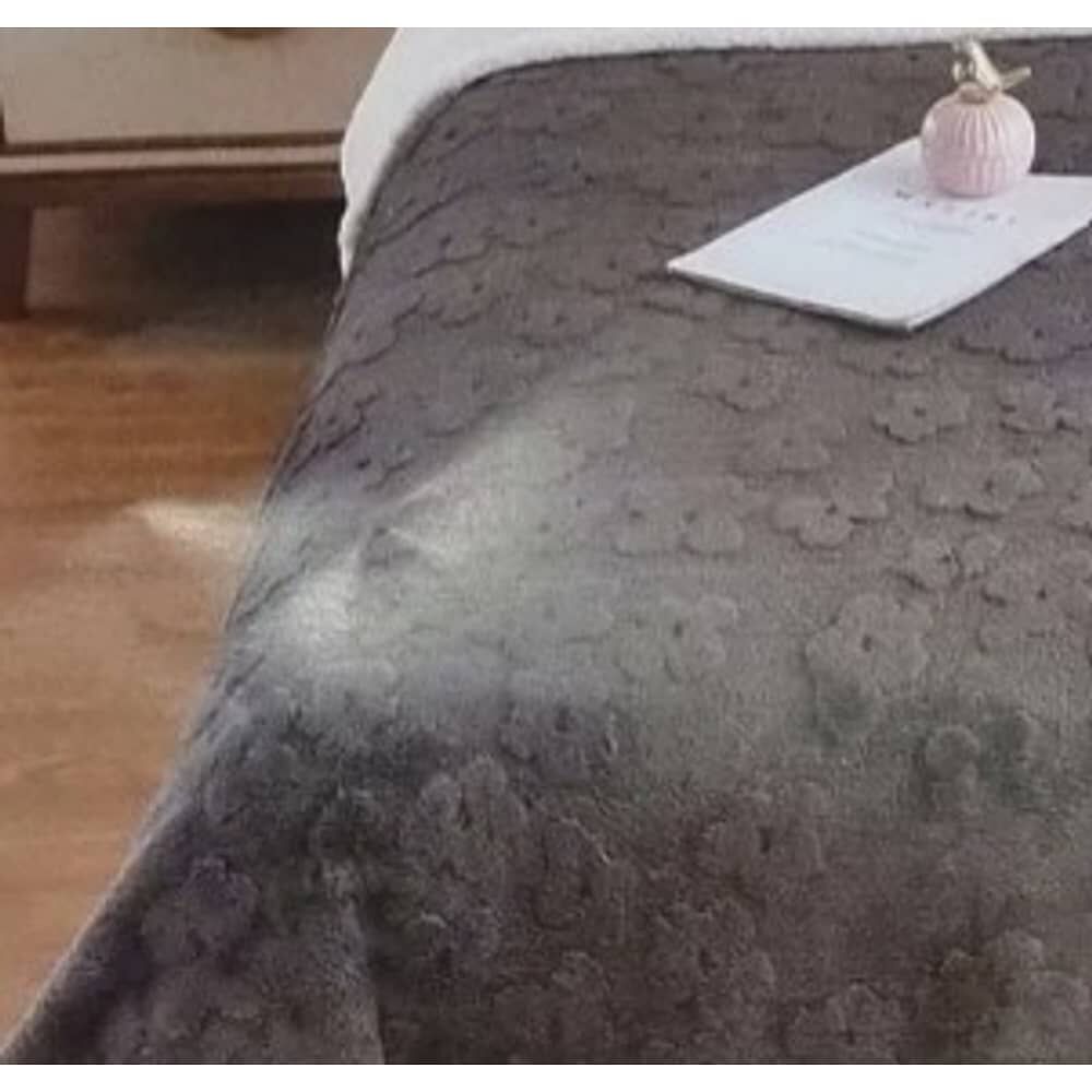 Frazada Manta Termica Hipoalerg&eacute;nica Para Cama 2 Plazas image number 1.0