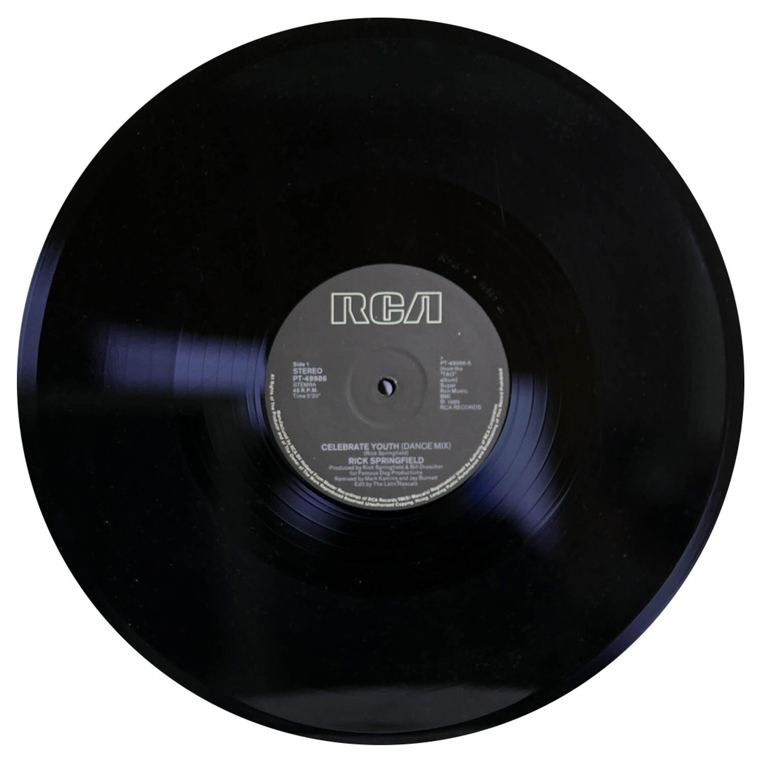 Rick Springfield - Celebrate Youth (special Dance Mix) | 12" Maxi Single Usado image number 2.0