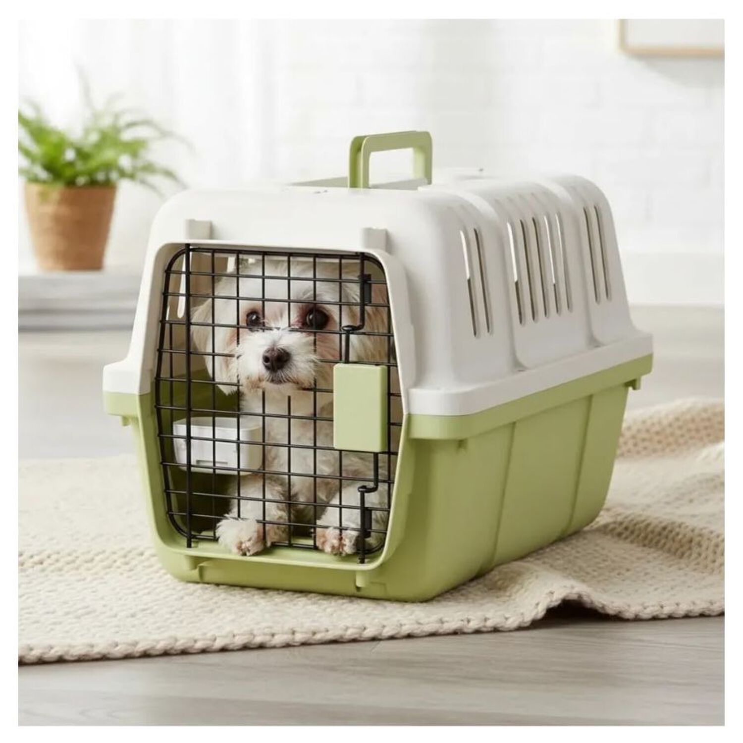 Transportador Canil Para Mascota Pl&aacute;stica Verde 34x34x50cm image number 2.0