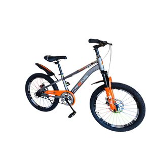 Bicicleta Aro 20 Cfeng Con Freno Disco Gris
