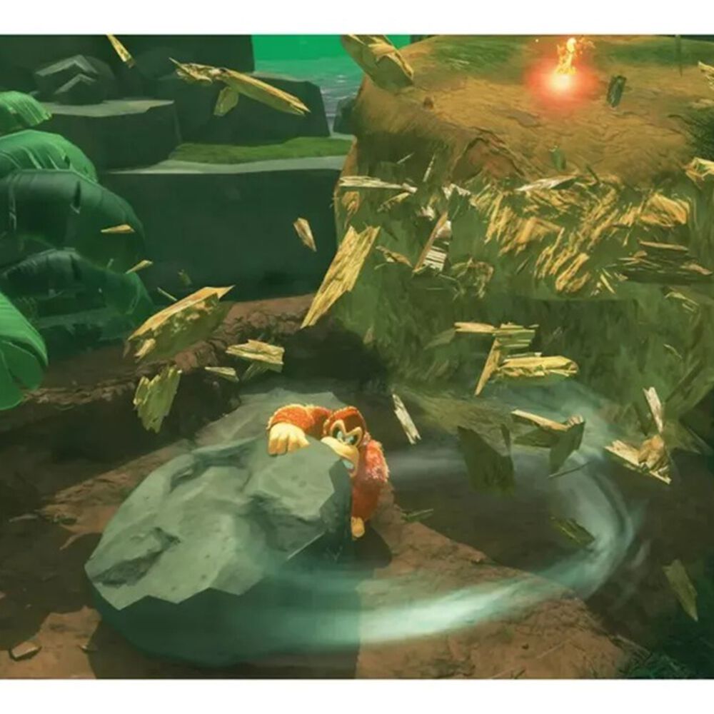 Donkey Kong Bananza Sw2 image number 2.0