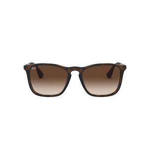 Lentes De Sol Chris Rubber Havana Ray-ban