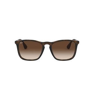 Lentes De Sol Chris Rubber Havana Ray-ban