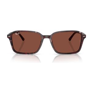 Lentes De Sol Raimond Morado Ray-ban