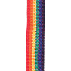Correa Polypro Rainbow 50mm Pws111 Daddario