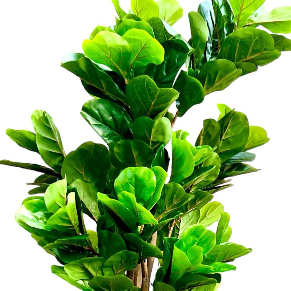 Planta Artificial Ficus Premium Lyrata 180 Cm. / 232 Hojas image number 2.0
