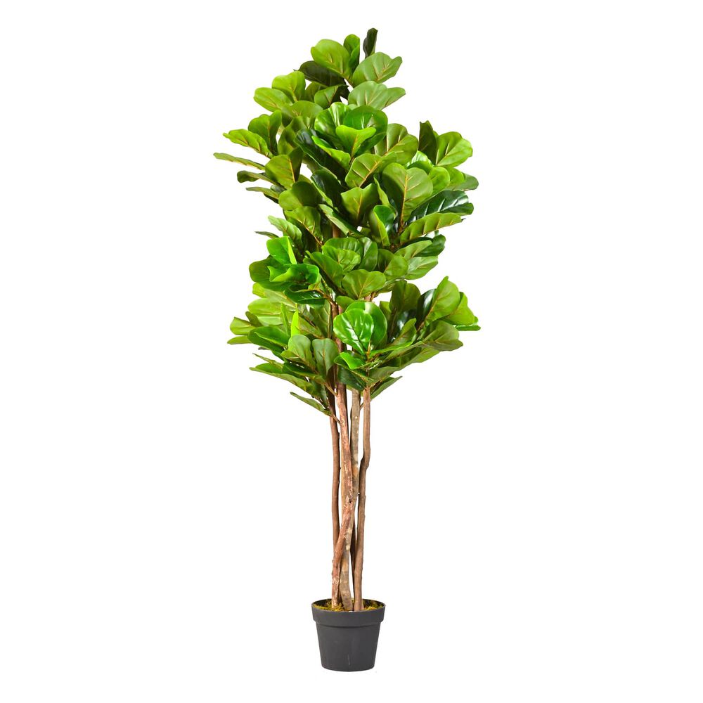 Planta Artificial Ficus Premium Lyrata 180 Cm. / 232 Hojas image number 1.0