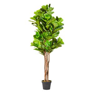 Planta Artificial Ficus Premium Lyrata 180 Cm. / 232 Hojas
