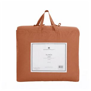 Plum&oacute;n Chantilly Reversible / 2 Plazas / 90gr / M2