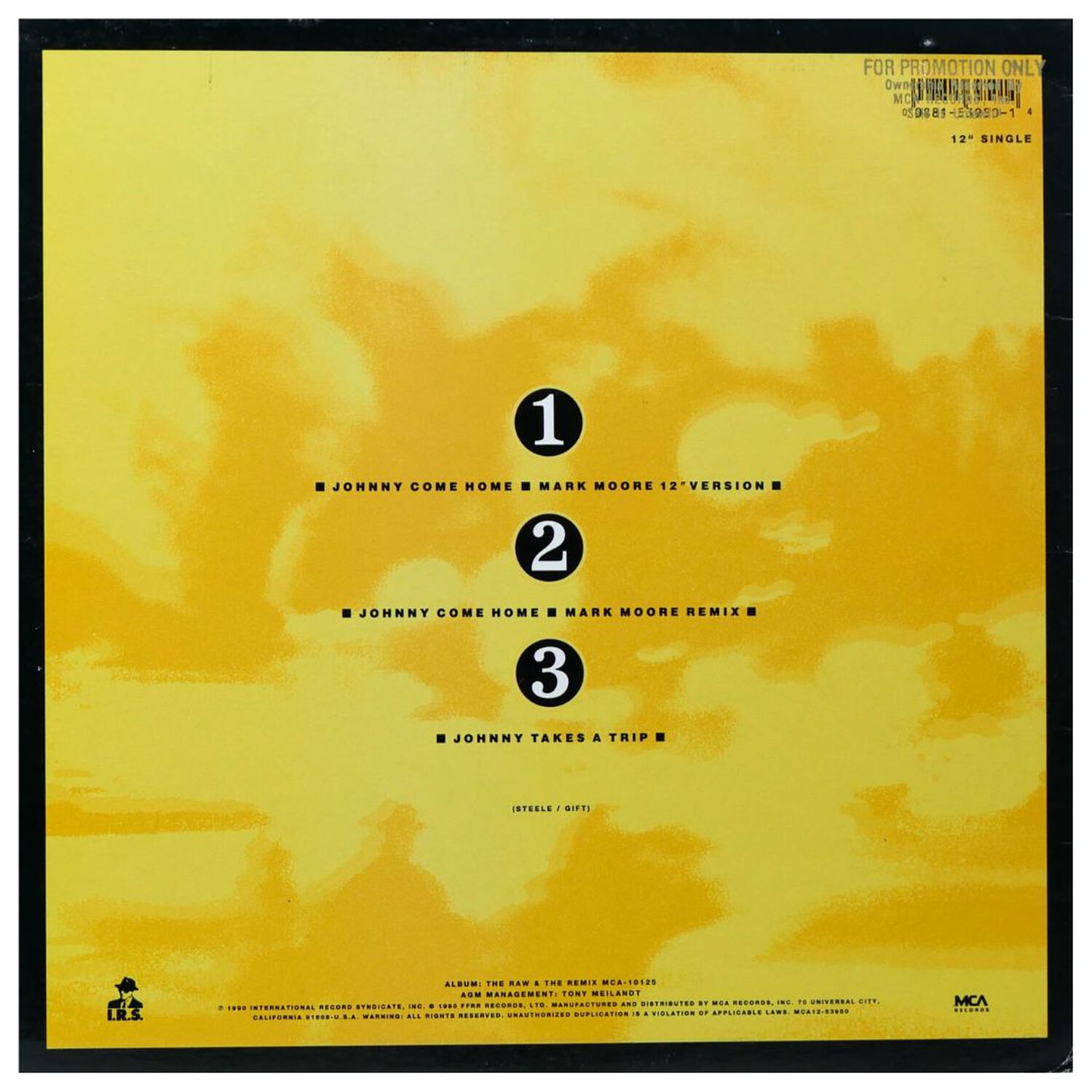 Fine Young Cannibals - Johnny Come Home | 12" Maxi Single Usado image number 1.0