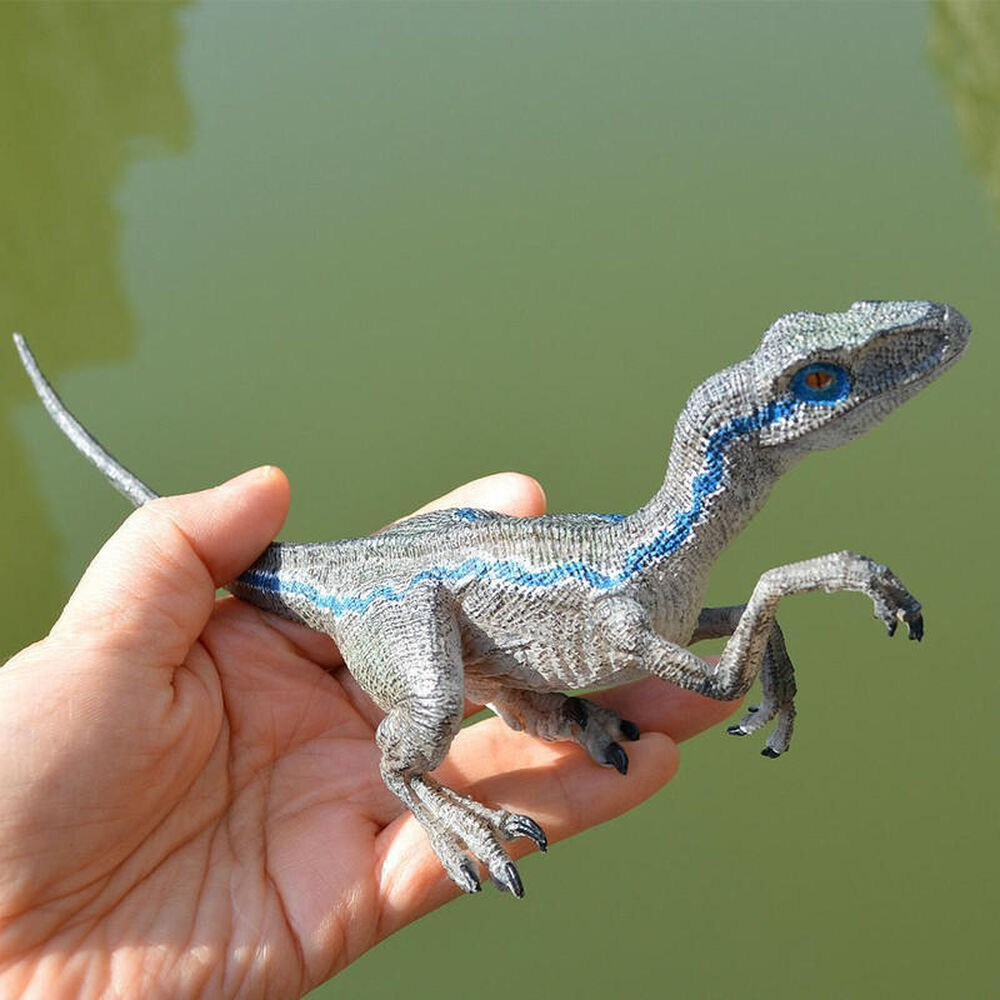 Juguete Dinosaurio Velociraptor Blue Para Niños image number 5.0