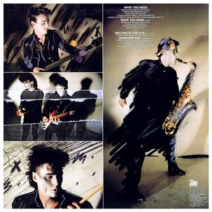 Inxs - What You Need (extended Mix) | 12" Maxi Single Usado