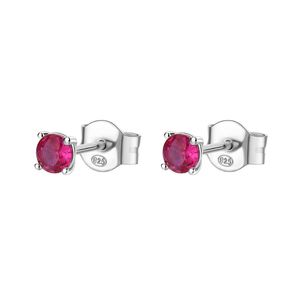 Aros Brosway Fancy Plateado Fpr43