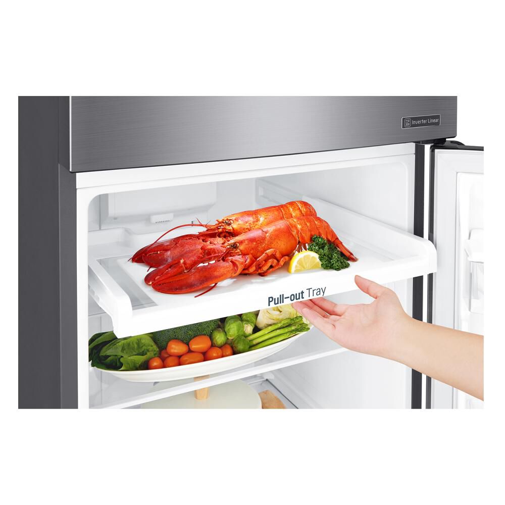 Refrigerador Top Freezer LG GT32WPPDC / No Frost / 312 Litros / A+ image number 10.0
