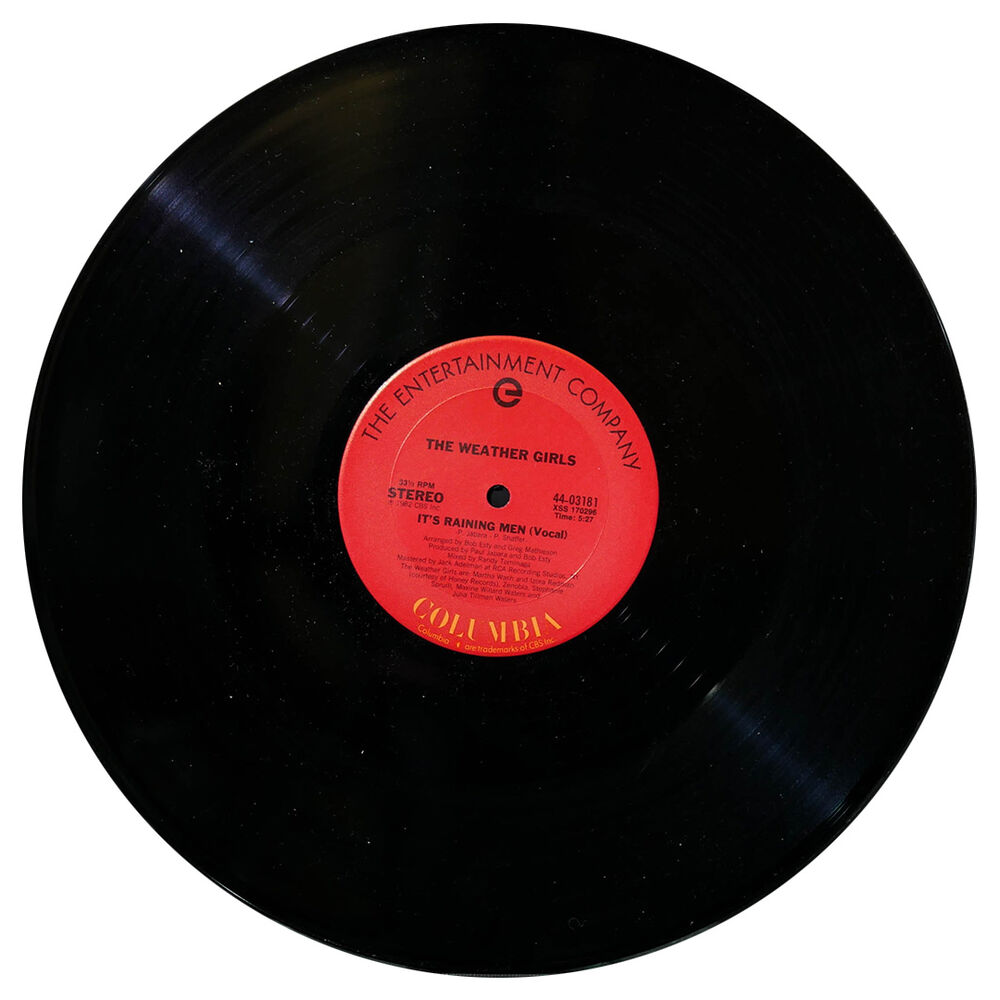 The Weather Girls - It's A Raining Men | 12" Maxi Single Usado image number 2.0