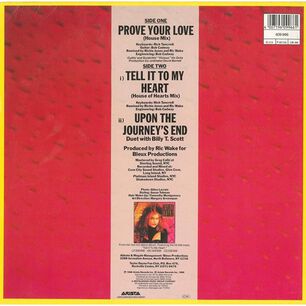 Taylor Dayne - Prove Your Love (house Mix) | 12" Maxi Single Usado