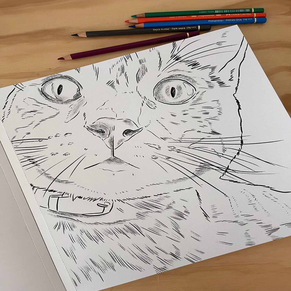 Libro Para Colorear Gatos Por Cata Fuenzalida image number 1.0