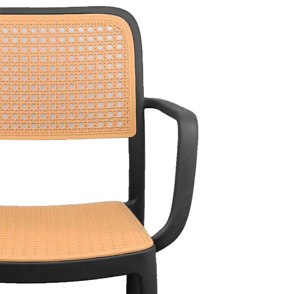 Silla Terraza Plástica Cairo Con Apoyabrazos Negra image number 3.0