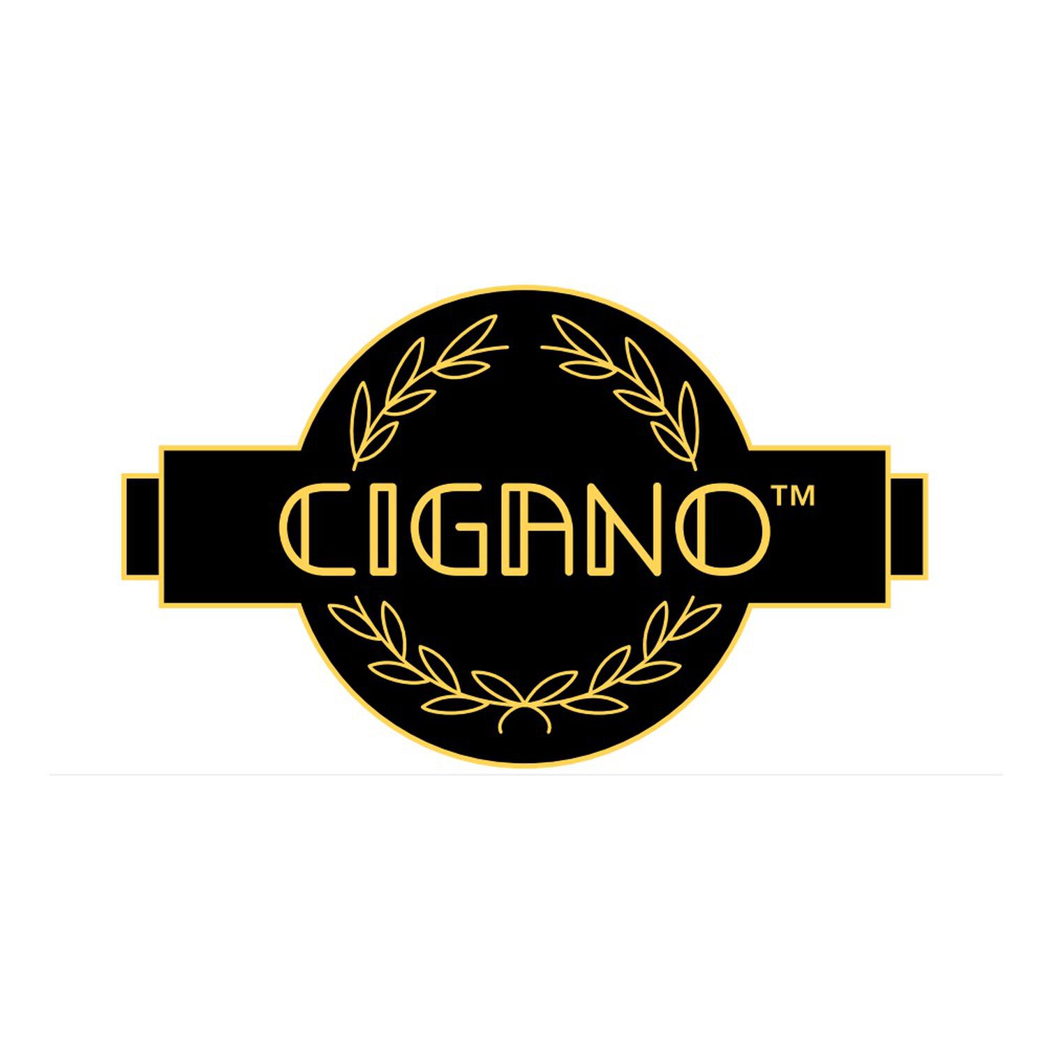 Guitarra Gypsy Jazz Cigano Gj-10 image number 1.0