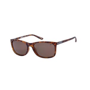 Lentes De Sol Polarizados Cat Cps-8510-102p Café
