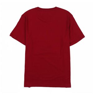 Polera Deportiva Hombre Wetland