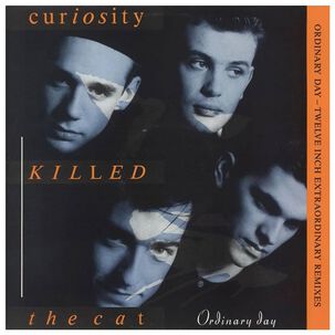 Curiosity Killed The Cat - Ordinary Day | 12" Maxi Single Vinilo Usado