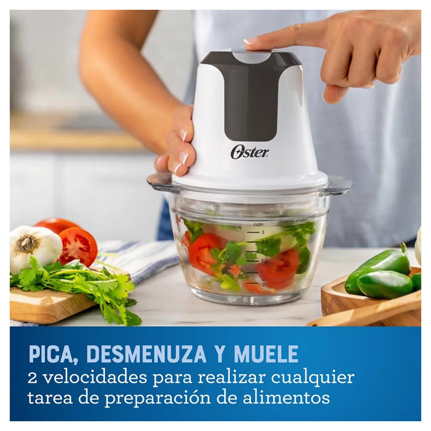 Picador De Alimentos 750ml 2vel Blanco Fpstfp3340 Oster image number 2.0