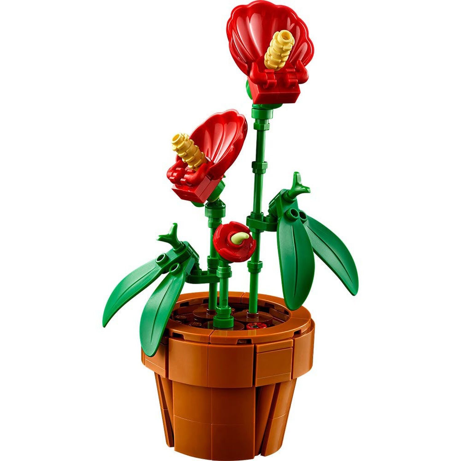 Lego Botanicals - Plantas Diminutas - 10329 image number 3.0
