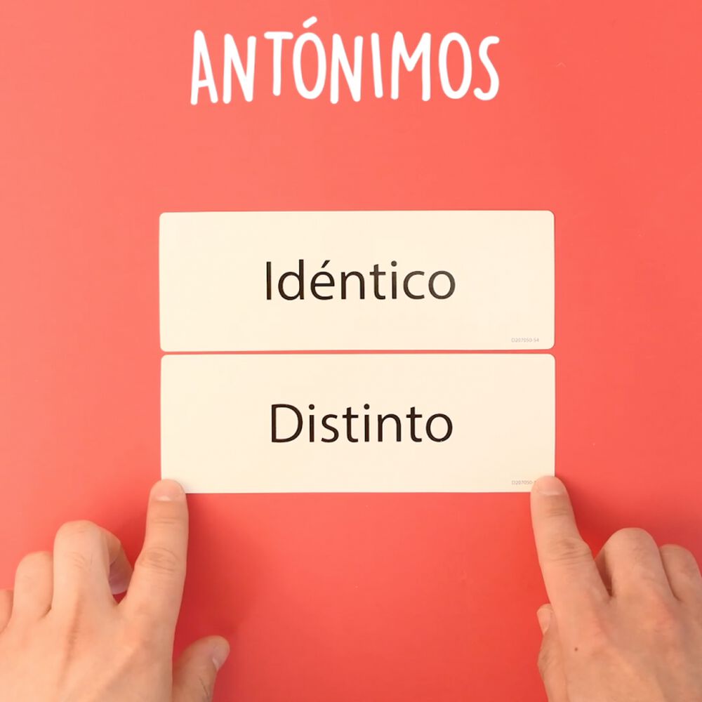 Sinónimos Y Antónimos: Láminas Para Enriquecer Vocabulario image number 1.0