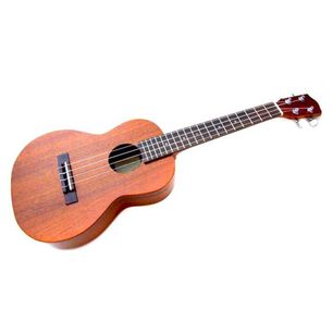 Ukelele 21p Con Bolso Alaguez.