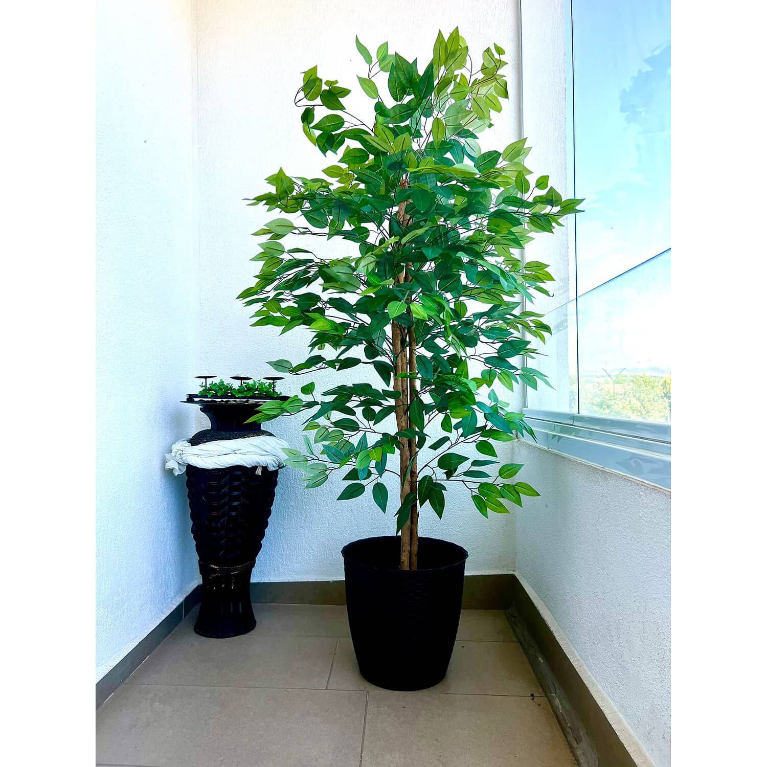 Planta Artificial Ficus Premium 160 Cm./ 1008 Hojas image number 3.0