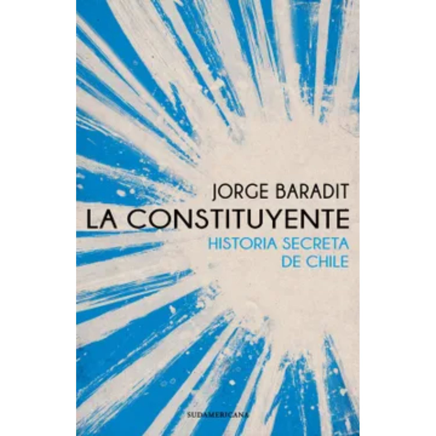 La Constituyente image number 0.0