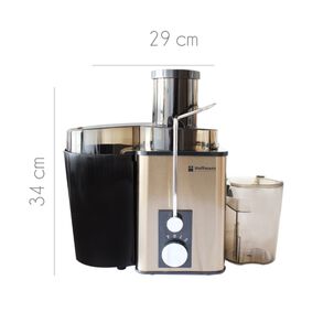 Extractor De Jugos El&eacute;ctrico 800w Para Frutas Y Verduras