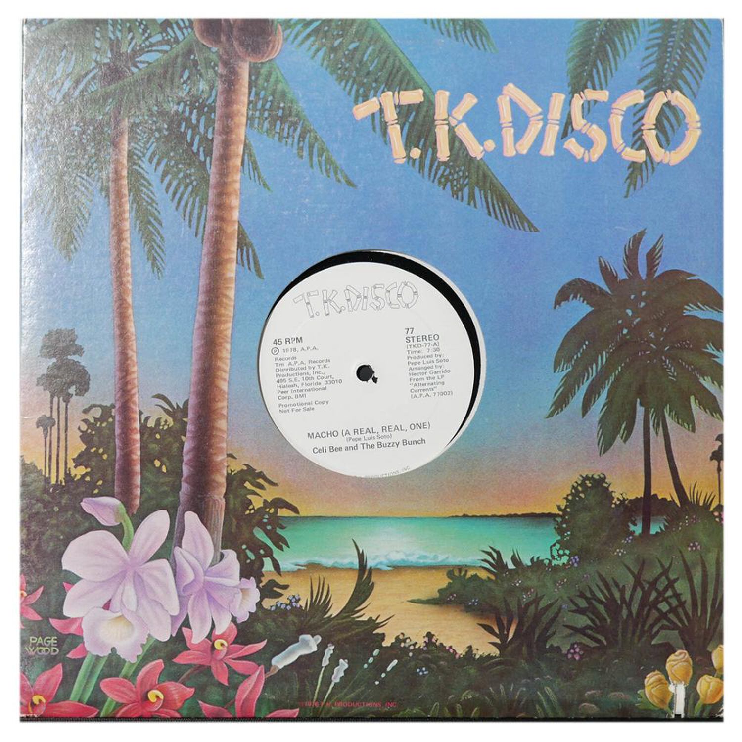 Celi Bee And The Buzzy Bunch - Macho (a Real, Real, One) | 12" Maxi Single Usado image number 1.0