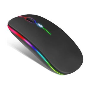 Mouse Raton Recargable Usb Bluetooh Compatible Para Mac Y 2,4ghz Conexi&oacute;n Inalambrico