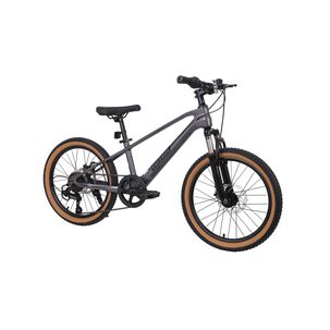 Bicicleta Totem Mtb Aro 20 Modelo Spark Magnesio Gris
