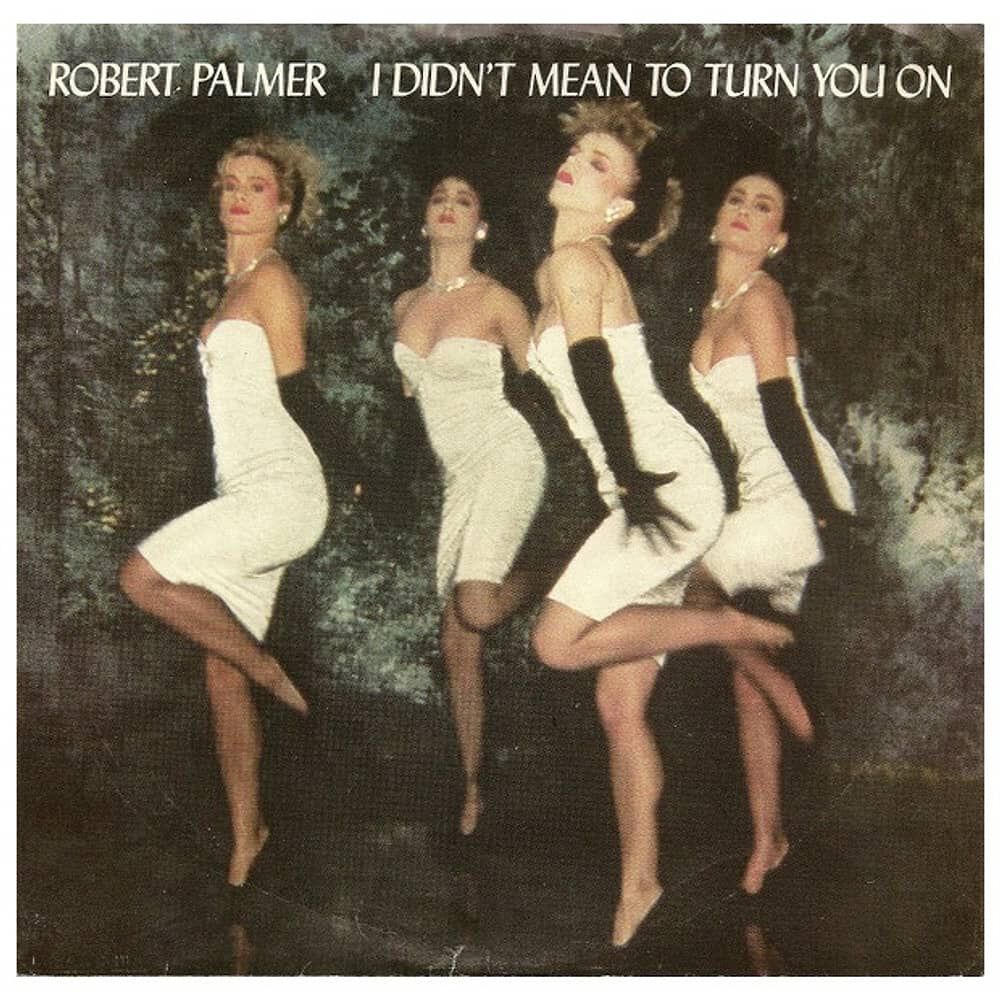 Robert Palmer - I Didn't Mean To Turn You On | 7" Single Vinilo Usado image number 0.0