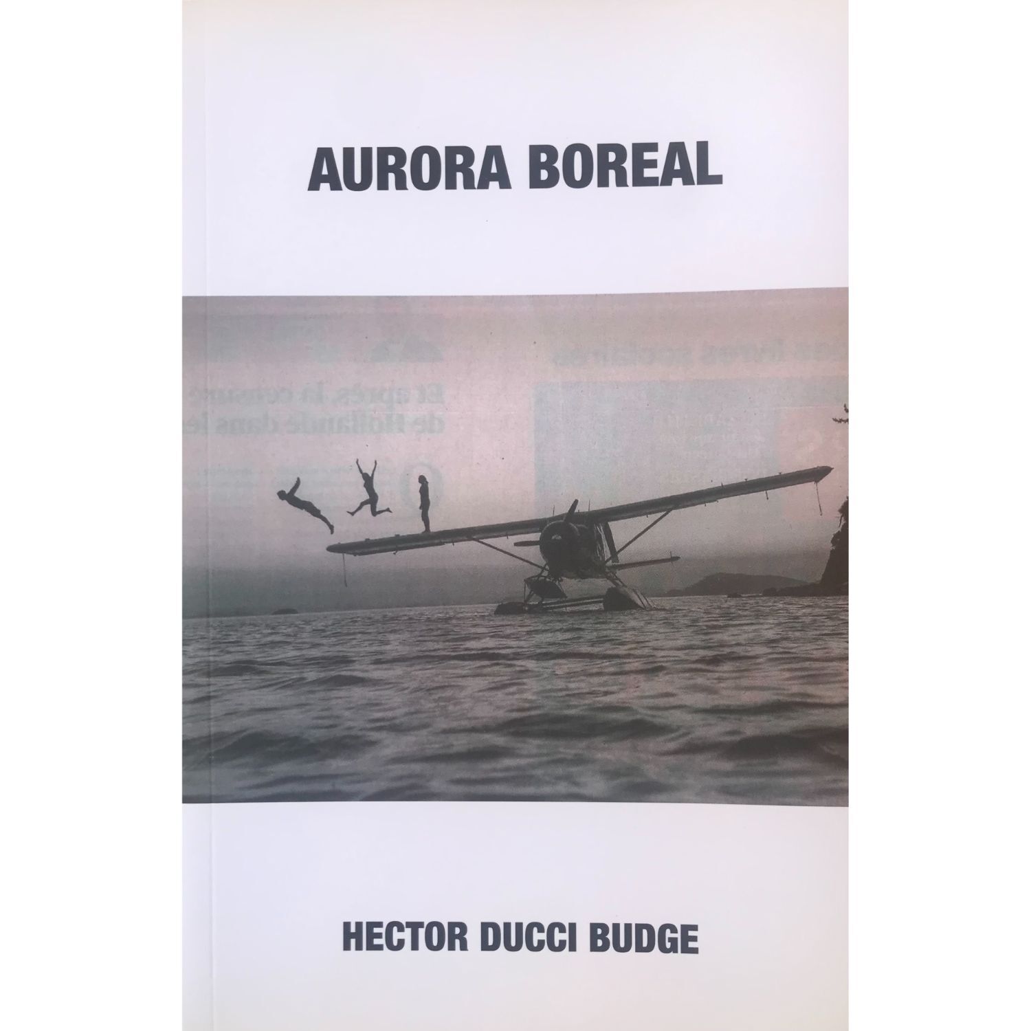 Aurora Boreal image number 0.0