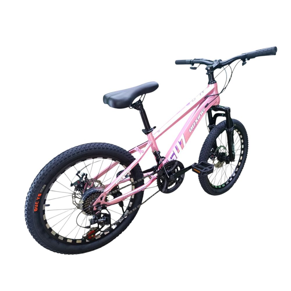 Bicicleta Aro 20 Brxing Sv7 Rosado Con Freno Disco Y 21 Velocidades image number 4.0
