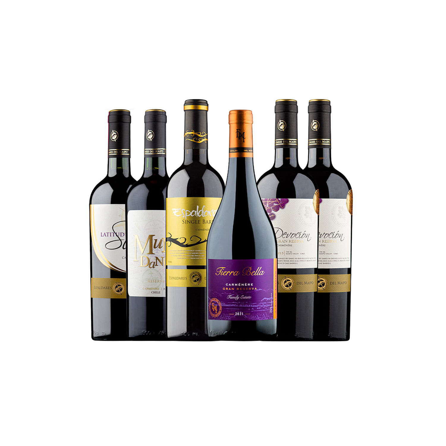 Cja X 6 Vinos Especial Carmenere Espaldares Del Maipo image number 0.0