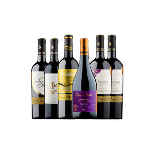 Cja X 6 Vinos Especial Carmenere Espaldares Del Maipo