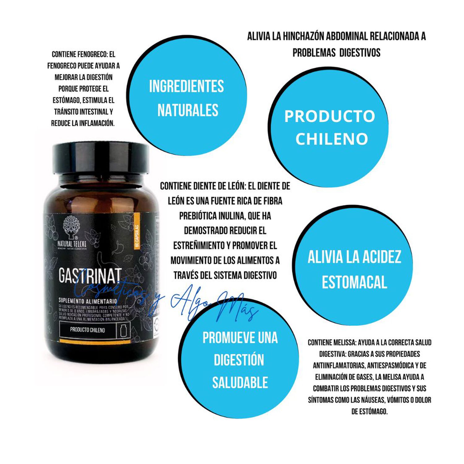 Gastrinat La Solucion A Tus Problemas Gastricos 60 Capsulas 500mg image number 1.0