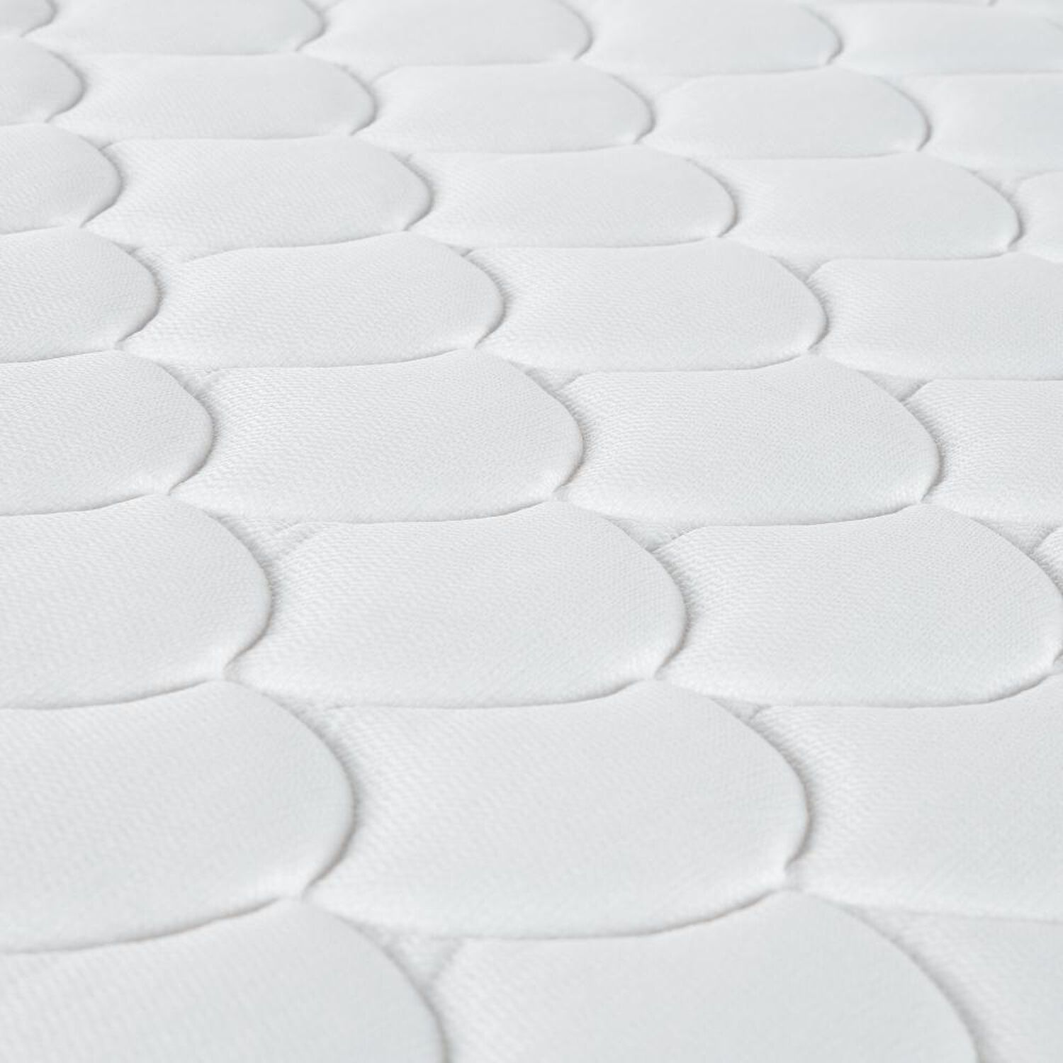 Cama Nido Rosen Ergo T Plus / 1.5 Plazas / Base Normal image number 5.0