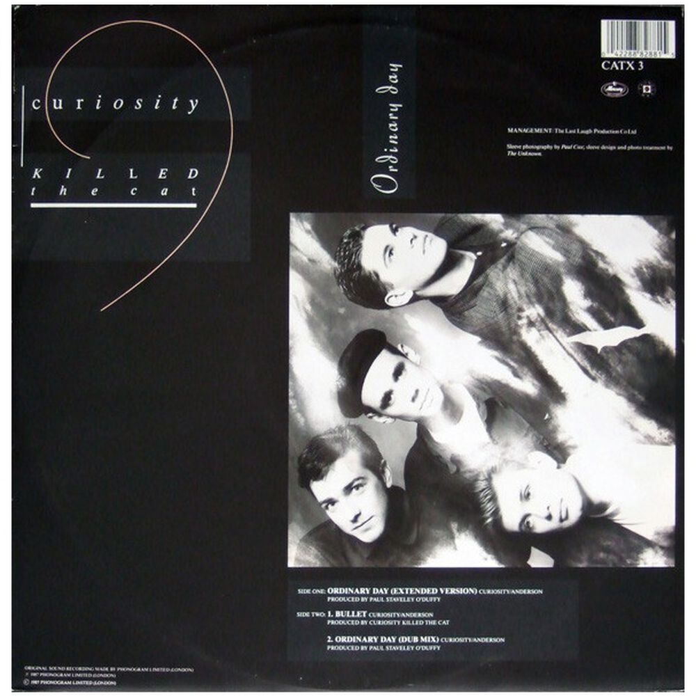 Curiosity Killed The Cat - Ordinary Day | 12" Maxi Single Usado image number 0.0