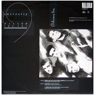 Curiosity Killed The Cat - Ordinary Day | 12" Maxi Single Usado