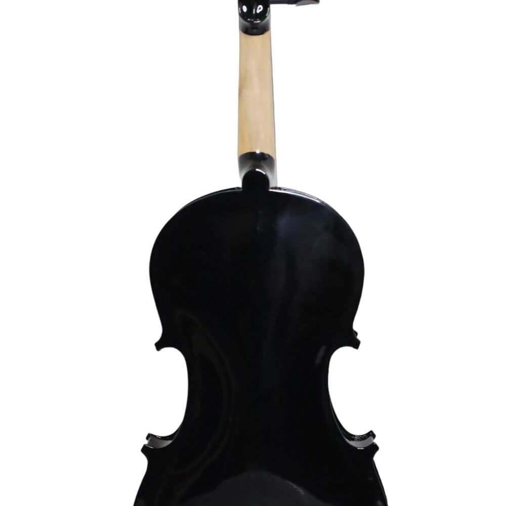 Violín Livorno Color Negro 4/4 Liv-20bk image number 1.0