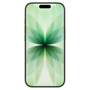Apple Iphone 17 5g 256 Gb - Color Verde