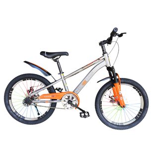 Bicicleta Aro 20 Cfeng Con Freno Disco Gris