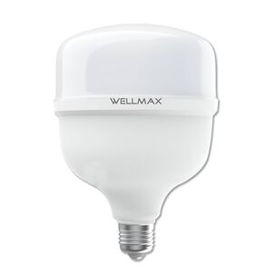 Ampolleta Led Wellmax 38w High Power Professional Line T115